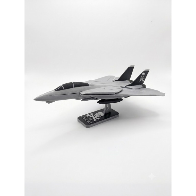 f-14 tomcat