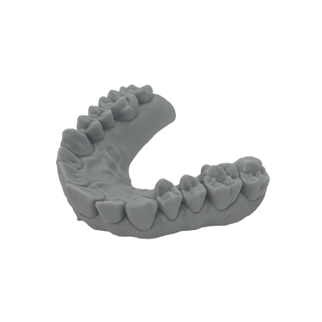 EVOCURE MODEL PRO-żywica dentystyczna w kolorze Space Grey- 250g